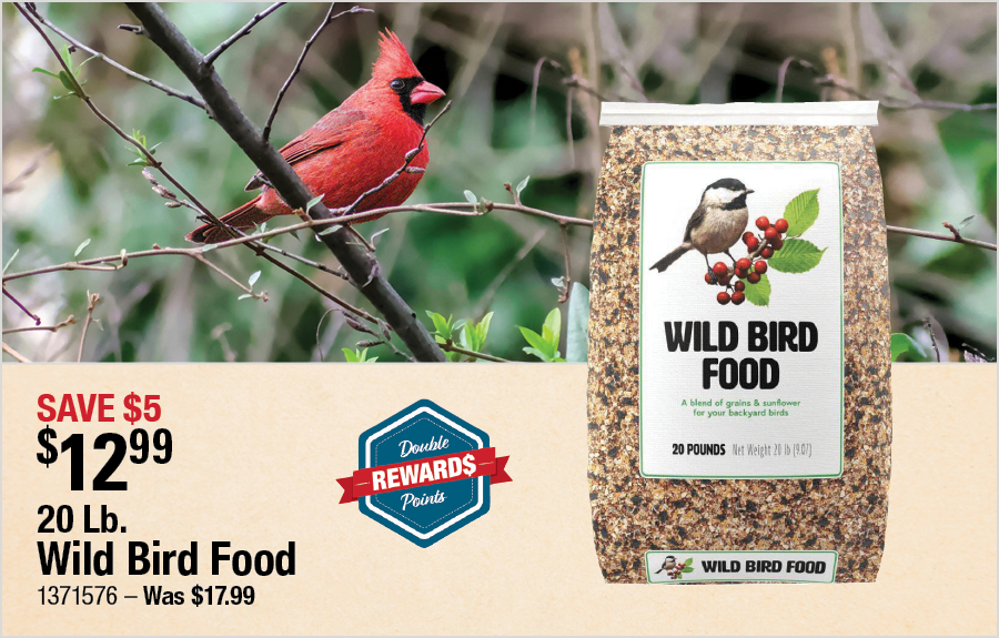 20 Lb. Wild Bird Food